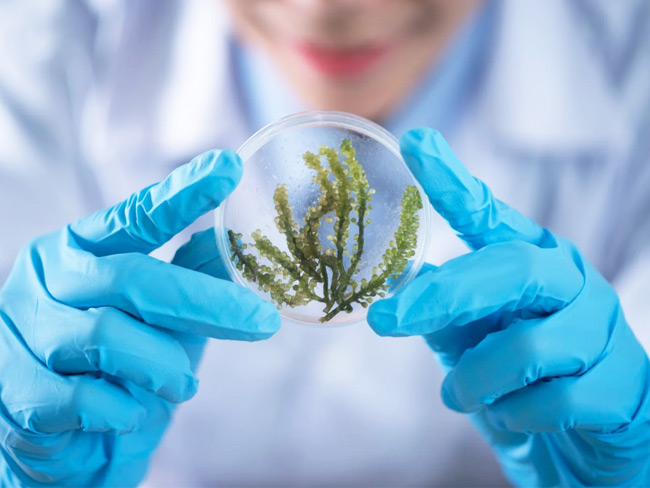 标题名称标题名称标题名称标题名称标题名称标题名称标题名称