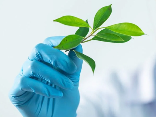 标题名称标题名称标题名称标题名称标题名称标题名称标题名称