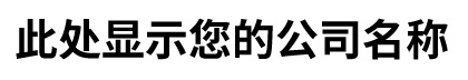 此处显示您的公司名称
